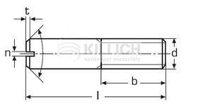 Slotted headless screw with chamfered end DIN 427