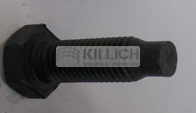 Scaffold bolt