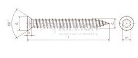 Countersunk window frame screw, torx