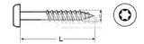 Chipboard screw pan head, torx