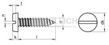 Pan head tapping screw with slot DIN 7971C
