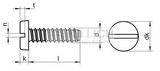 Pan head tapping screw with slot DIN 7971F