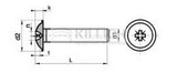 Cross recessed pan head screws with collar DIN 967